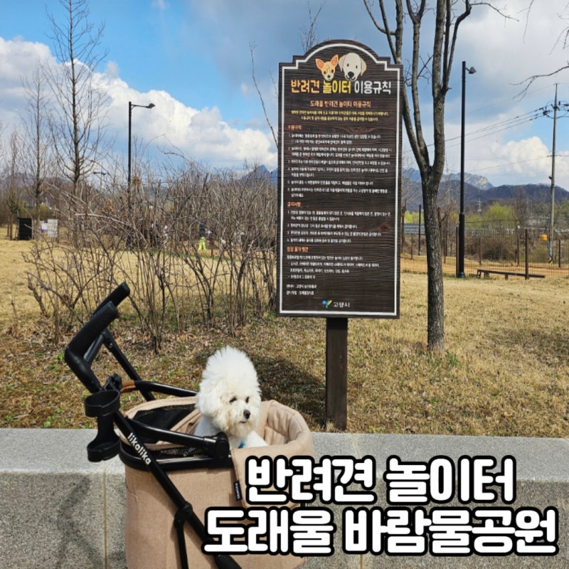 사진 9