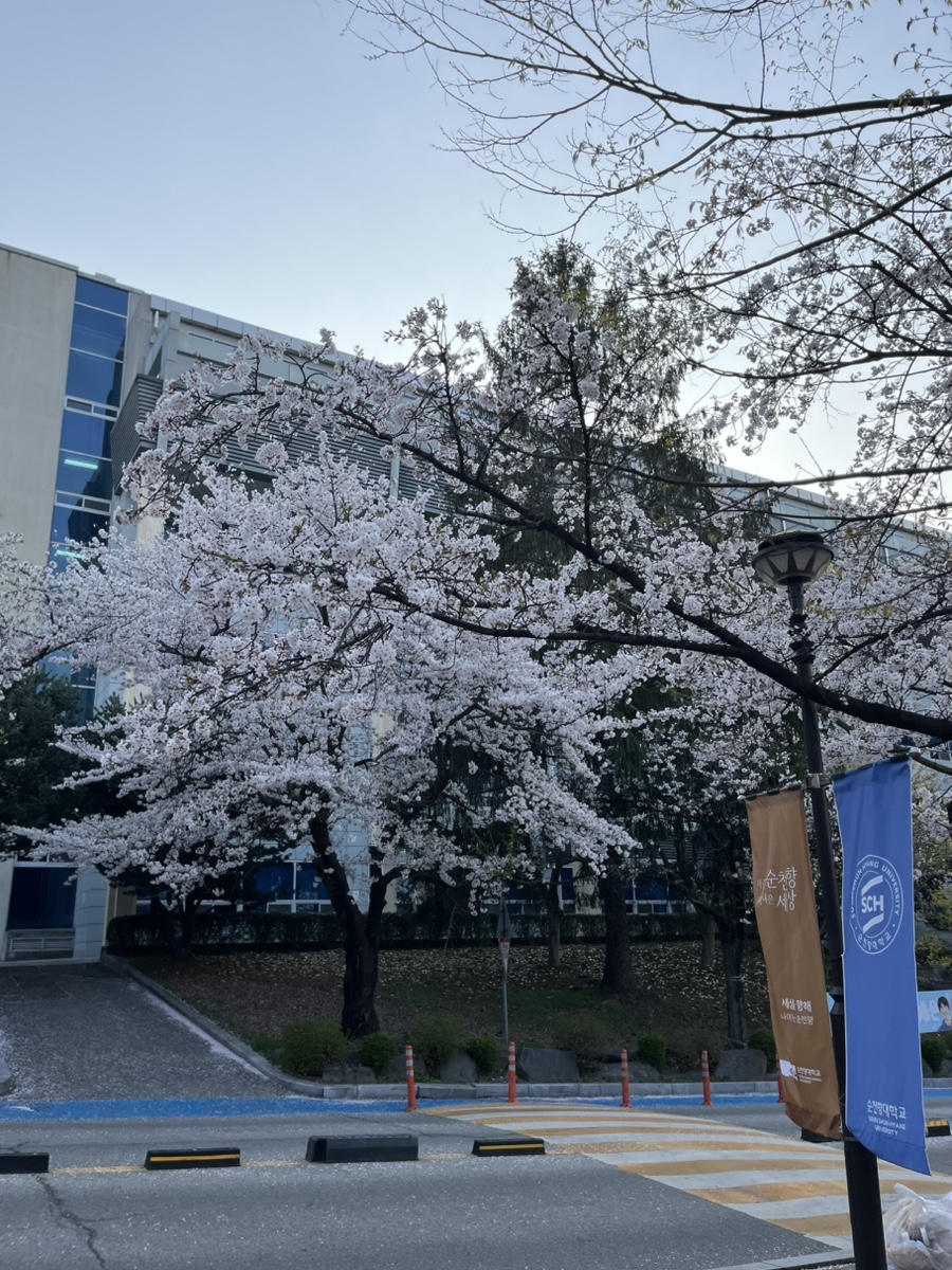 그라찌에 순천향대 학생회관점 사진 2