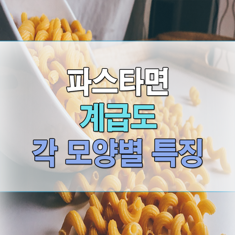 파스타면 계급도 각 모양별 특징