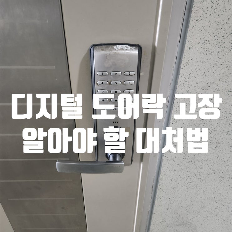  현관문 디지털 도어락 잠금 장치 고장 유지관리 팁 일산 가좌동열쇠