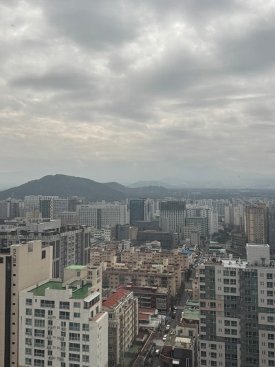 사진 3