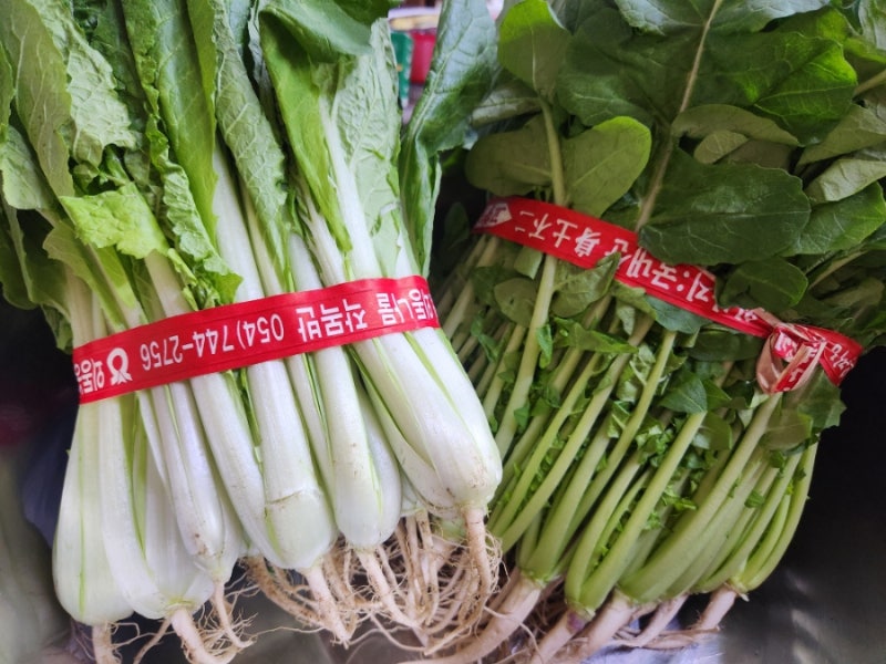 초간단 열무.단배추 물김치담기