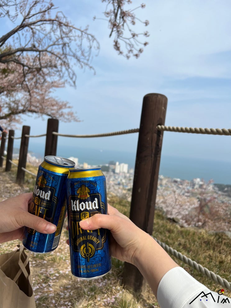  [울산/울주군] 벚꽃 낭만 가득한 치맥 피크닉 :: 서생포왜성 ::