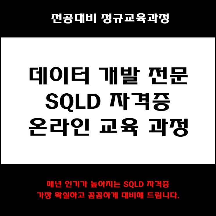  데이터 개발 전문, SQLD 자격증 컴퓨터 전공대비 온라인 교육 과정 컴퓨터 학원, KG에듀원 아이티뱅크