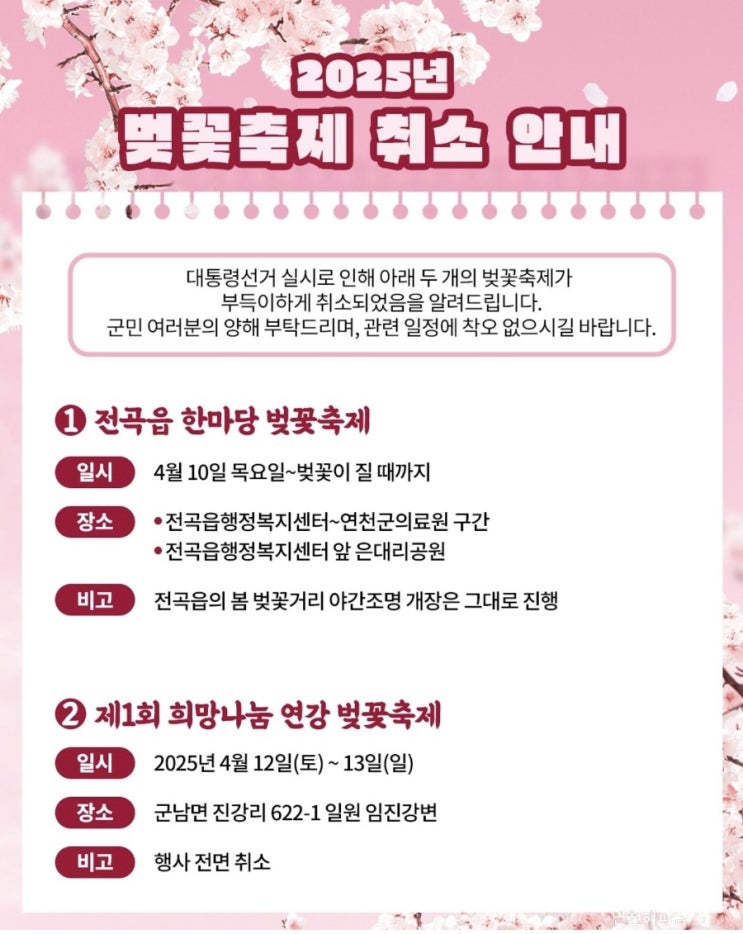  연천 벚꽃 전곡 명소 경기북부 벚꽃길 2025년 벚꽃축제