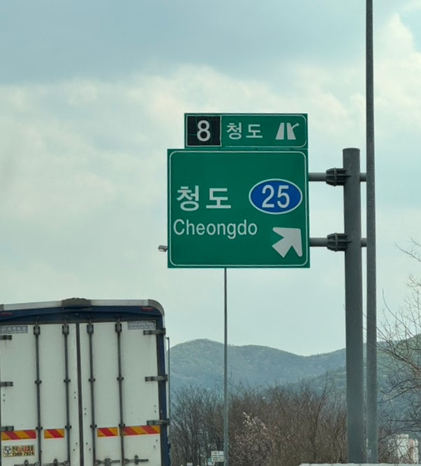 사진 5