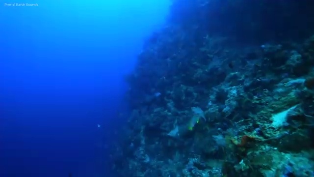  가을 풍경을 만끽할 수 있는 인천 여행지 추천하기