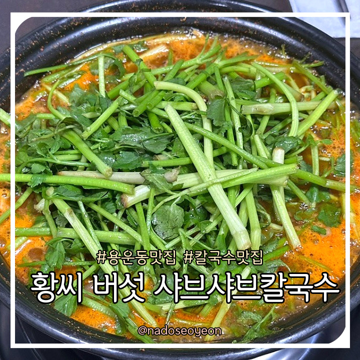  대전 용운동 맛집 황씨 버섯 샤브샤브칼국수