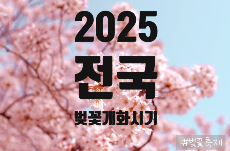  2025 전국 벚꽃 개화시기 & 지역별 벚꽃명소 총정리 | 봄꽃 여행 가이드