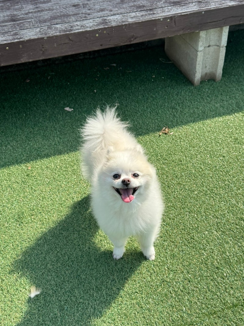 사진 3