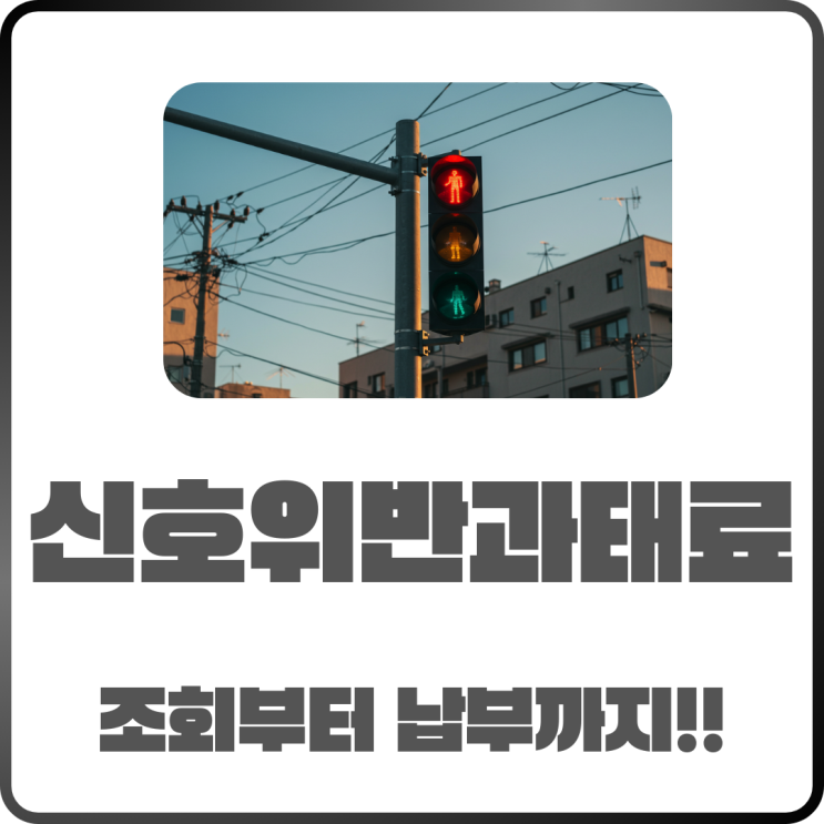  신호위반과태료 조회부터 납부 방법까지