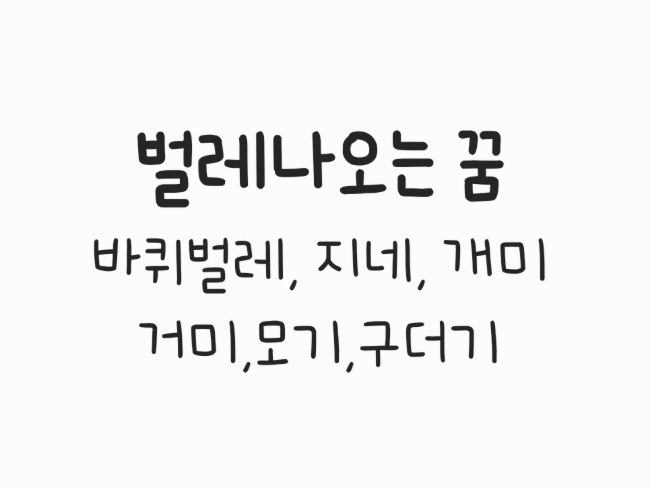  벌레 나오는 꿈(바퀴벌레, 지네, 개미, 거미, 모기, 벌, 구더기)