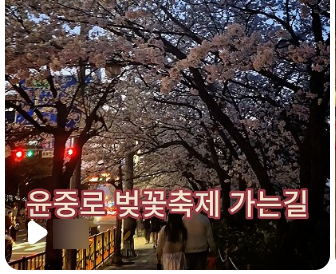  쇼츠 영상 플랫폼 단순 비교 클립 유튜브 릴스 틱톡