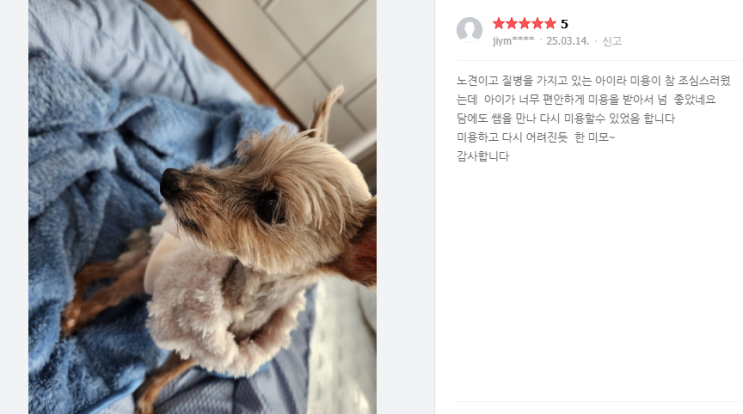  [펫VIP]3-4월 강아지방문미용,애견미용사,애견출장미용,대형견출장목욕,대형견 출장목욕 비용, 노령견미용 이용 후기