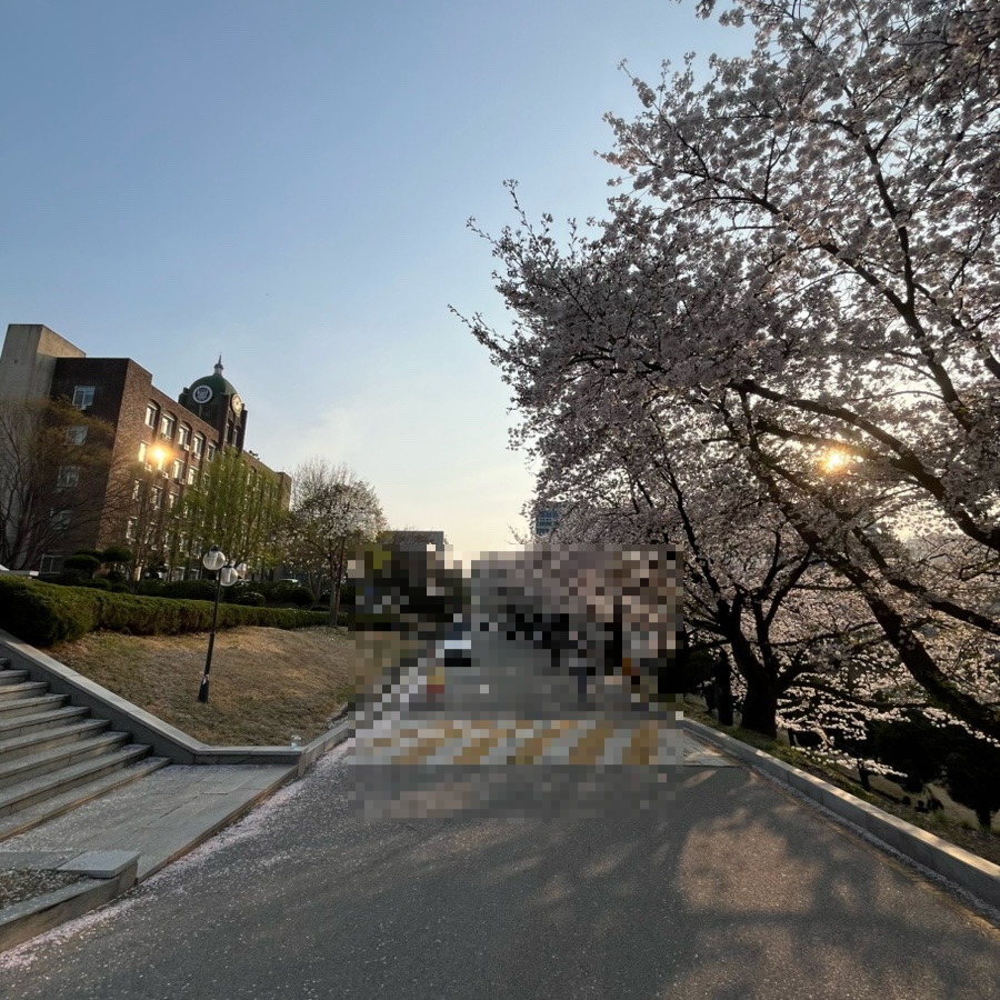 그라찌에 순천향대 학생회관점 사진 5