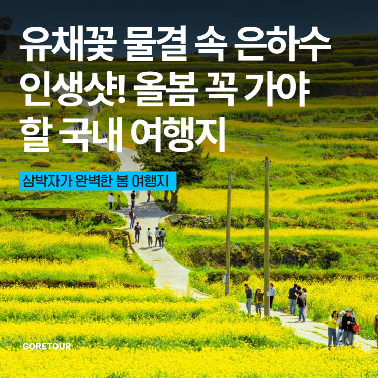  유채꽃 물결 속 은하수 인생샷! 올봄 꼭 가야 할 국내 여행지