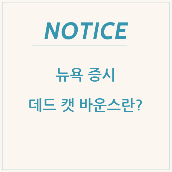  뉴욕 증시 데드 캣 바운스란?
