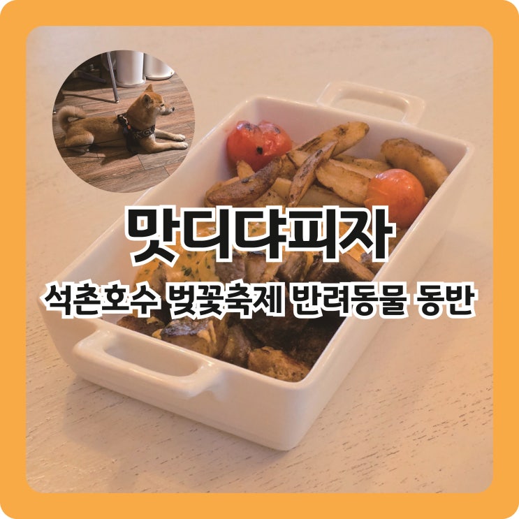  석촌역 석촌호수 벚꽃축제 맛집, 반려동물 동반 가능한 맛디댜피자 잠실점