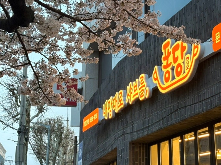  수성구 방송 출연한 샤브샤브 맛집 퐁당 대구 만촌점 다양한 육수와 소스 조합 추천