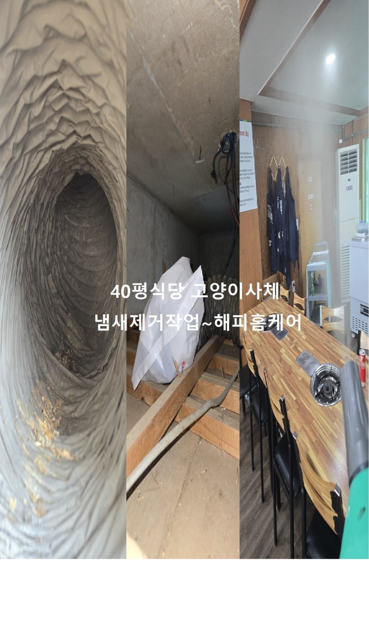  울산,부산,김해,양산식당 죽은고양이사체냄새 고양이사체 부패된냄새제거청소~해피홈케어