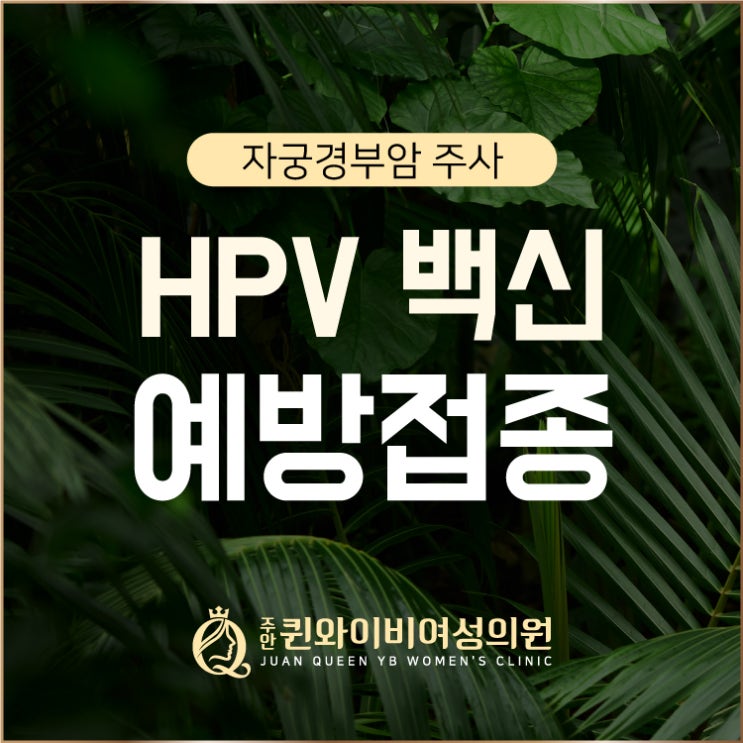  도화동여성병원 자궁경부암 백신 HPV 예방접종 중요