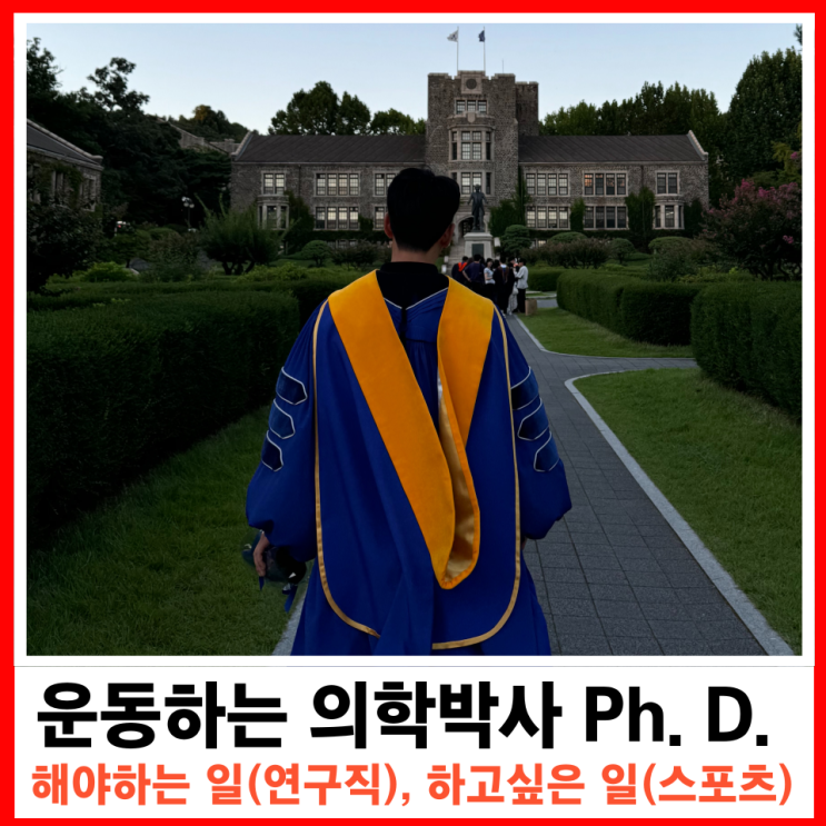  평범한 운동하는 직장인의 꿈 그리고 해야하는 일과 하고싶은 일