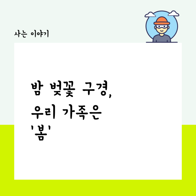  밤 벚꽃 구경, 우리 가족은 봄.