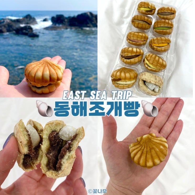  동해 여행 오면 사야할 명물 빵집 맛집 동해조개빵 본점