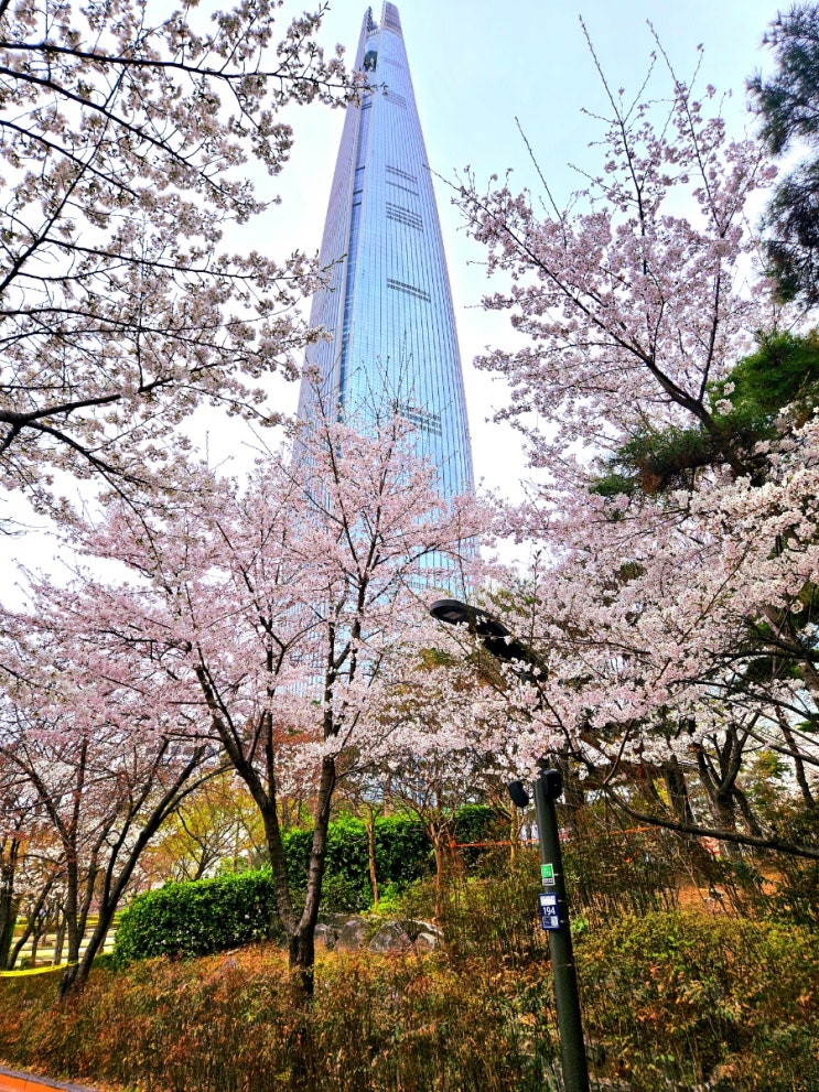  잠실 석촌호수 2025 국제팝페라&재즈 페스티벌