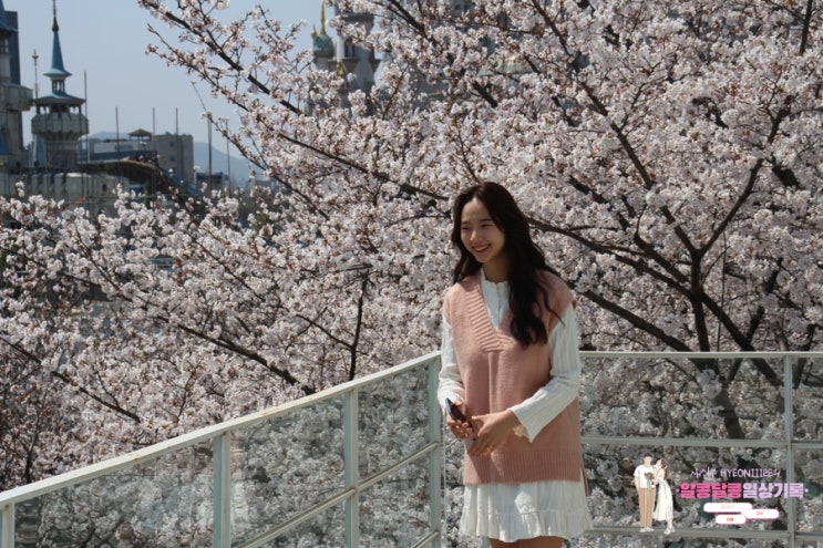  석촌호수 벚꽃 '문화실험공간 호수' 주차/포토존/전시/웨이팅