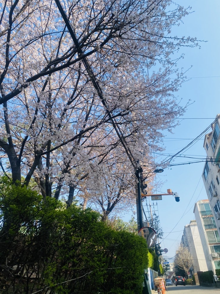 챗GPT와 주제를 가지고 토론하기 – “죽음” (DAY3)