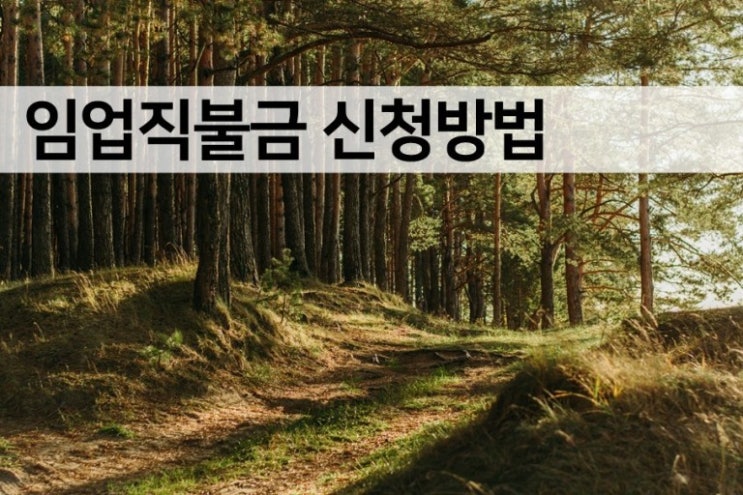   2025 임업직불금 신청 자격부터 지급금액까지 완벽 가이드