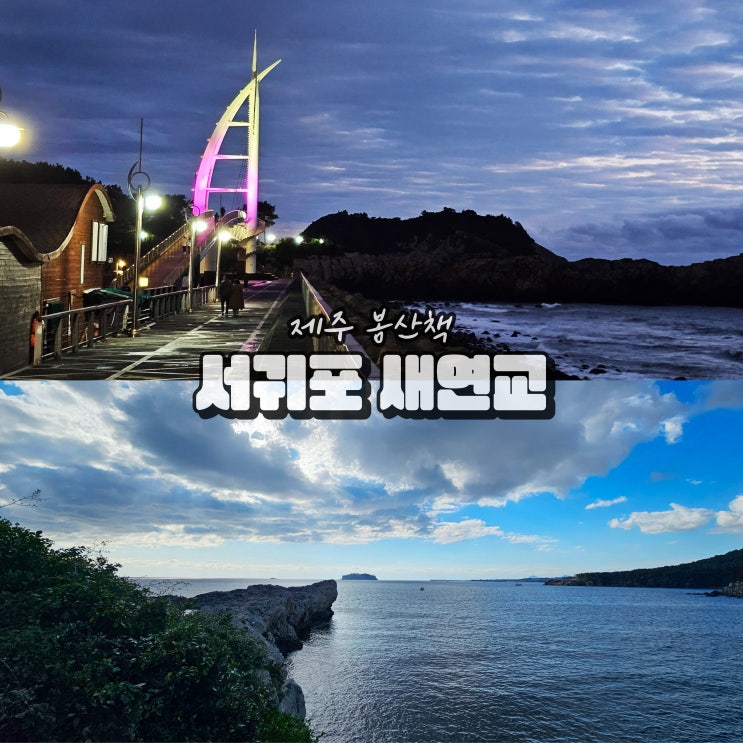 5월 제주도 서귀포 가볼만한곳 새섬 새연교 야경 여행