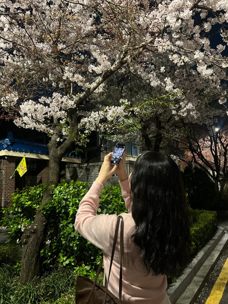  4월 서울 근교 나들이 수원 맛집 놀거리 추천 벚꽃축제 남양주 대형 카페 여행지