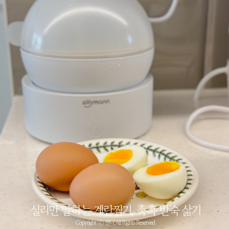계란삶는기계 실리만 말하는 계란찜기 소형 주방용품 추천