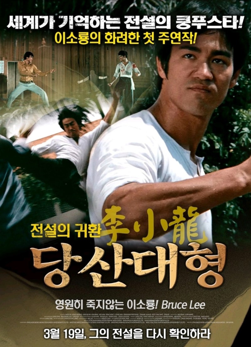 이소룡 삶과 이력 결혼 죽음의 미스터리 그리고 대표작 영화 5선: 당산대형, 정무문, 맹룡과....