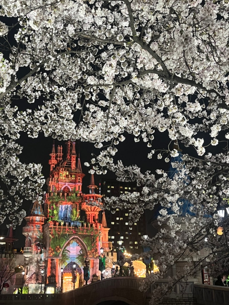 롯데월드 야간개장 시간 퍼레이드 롯데월드타워 잠실 석촌호수 : 네이버 블로그