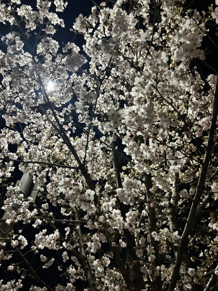  배울 점이 있는 사람의 기준