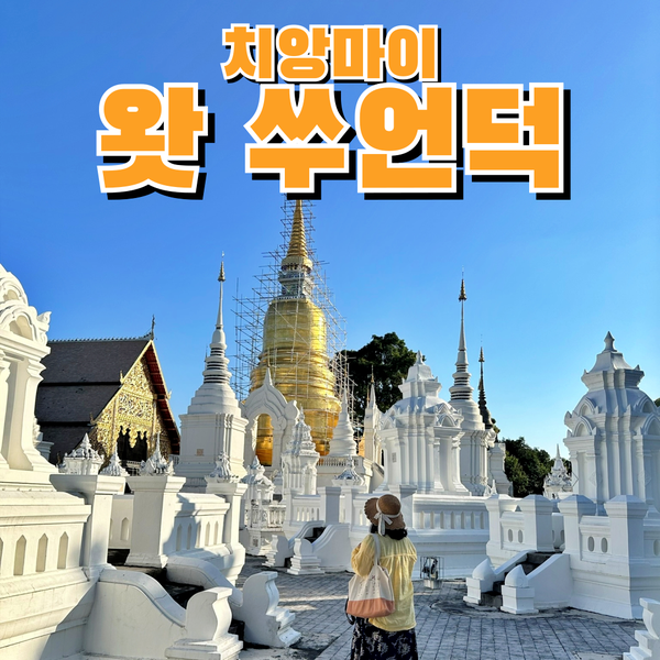  치앙마이여행 가볼만한곳 왓 쑤언덕 Wat Suan Dok