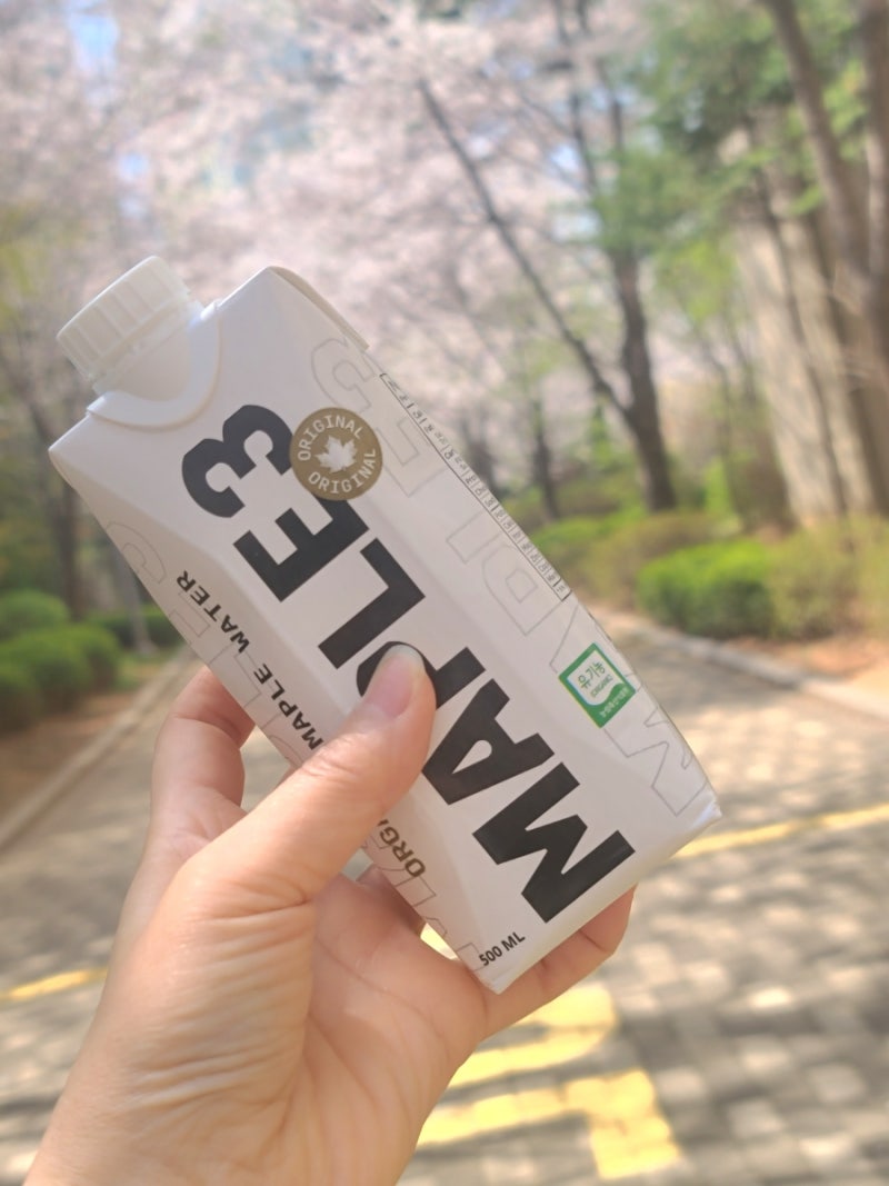 캐나다 프리미엄 유기농 메이플 워터
