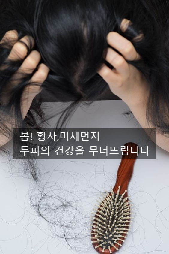  봄철 미세먼지 큐 사랑 샴푸로 관리하세요.
