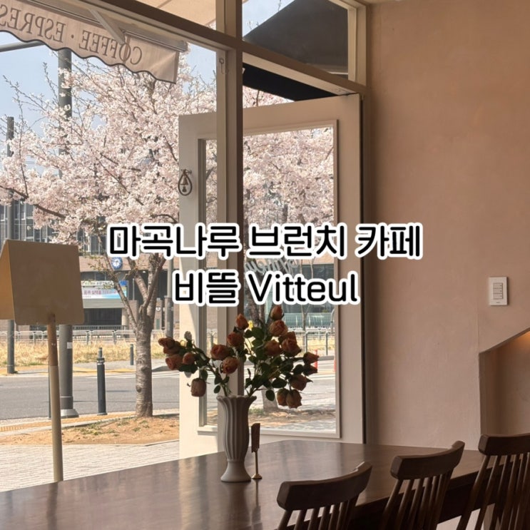  강서구 감성 가득 브런치 카페 ‘비뜰’ 솔직 리뷰｜메뉴·분위기·꿀팁
