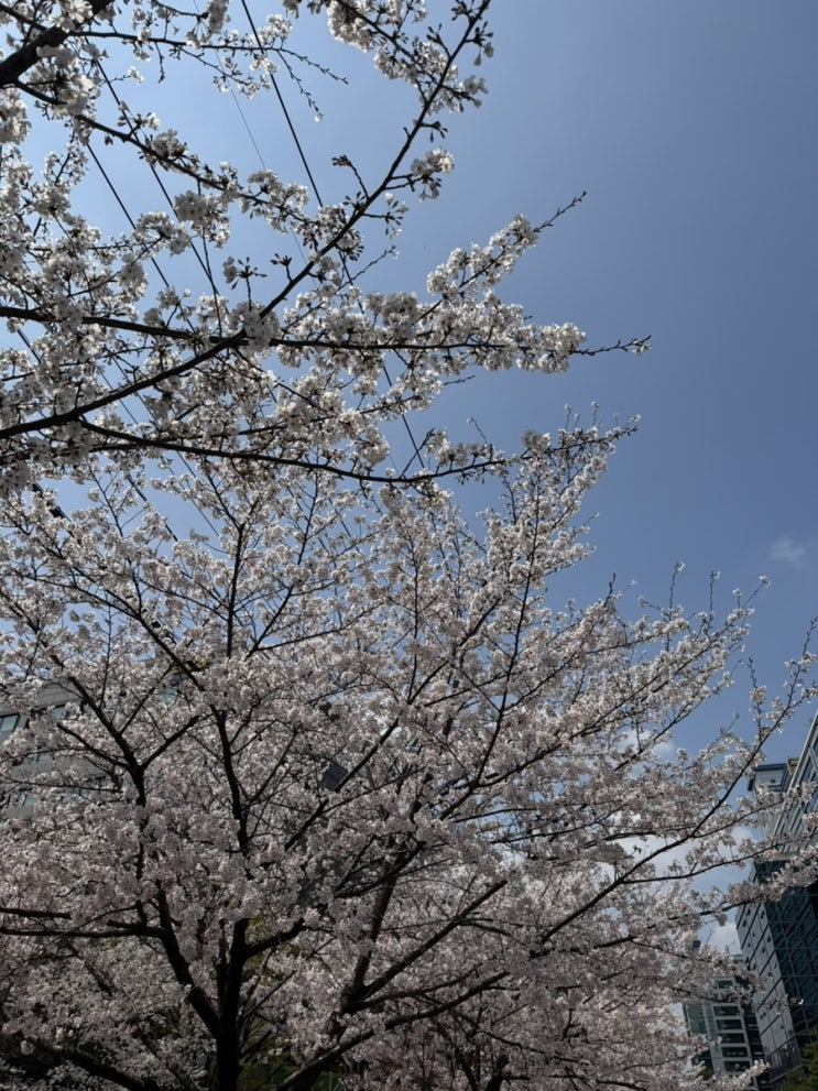  건강보험 피부양자, 등록 및 상실 자격 유지를 위한 소득·재산 기준은?