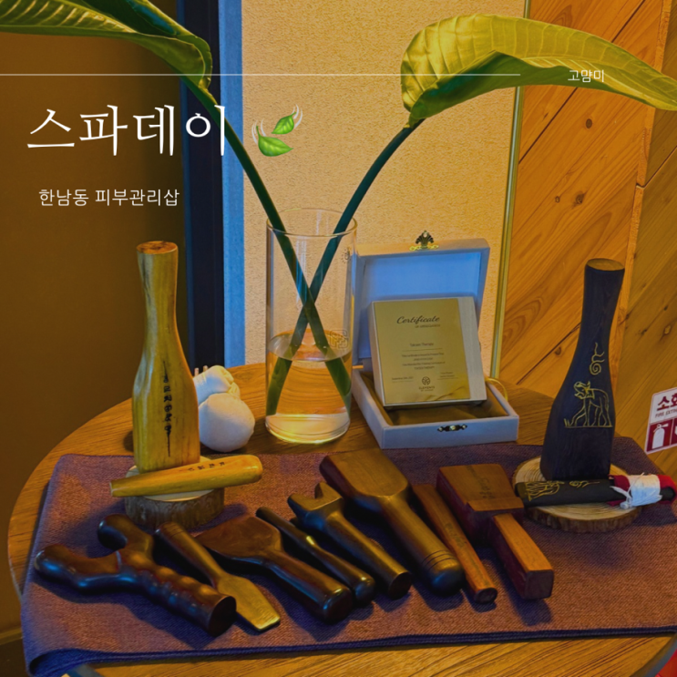  한남동피부관리 ㅣ 스파데이 ㅣ톡센테라피 특화 피부관리 샵