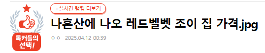  나 혼자 산다 | 레드벨벳 조이 아파트 가격?
