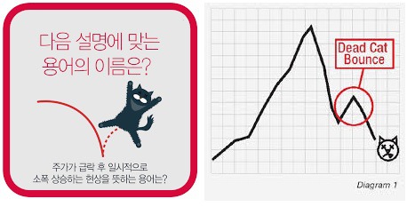  주식용어 하락장 속 반등, 진짜일까?데드캣바운스, 진짜 반등 구분 대응 차트 이동평균선 추세분석