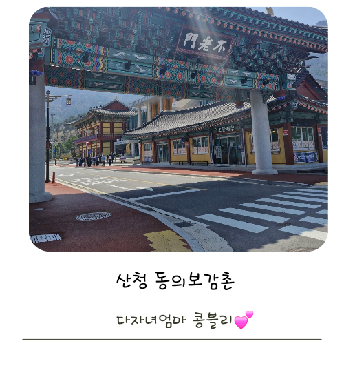사진 6