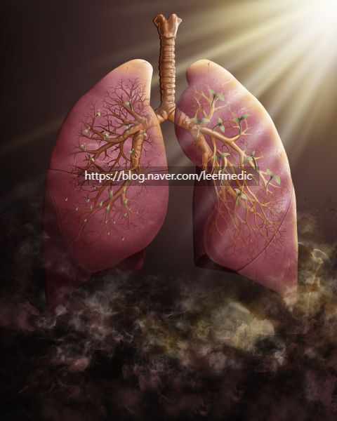  [Medical Illustration] 폐의 구조와 감정 – 생명의 숨결을 시각화한 작업기