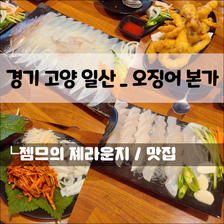  라페스타 맛집 오징어본가, 장항동 오징어 요리 전문점