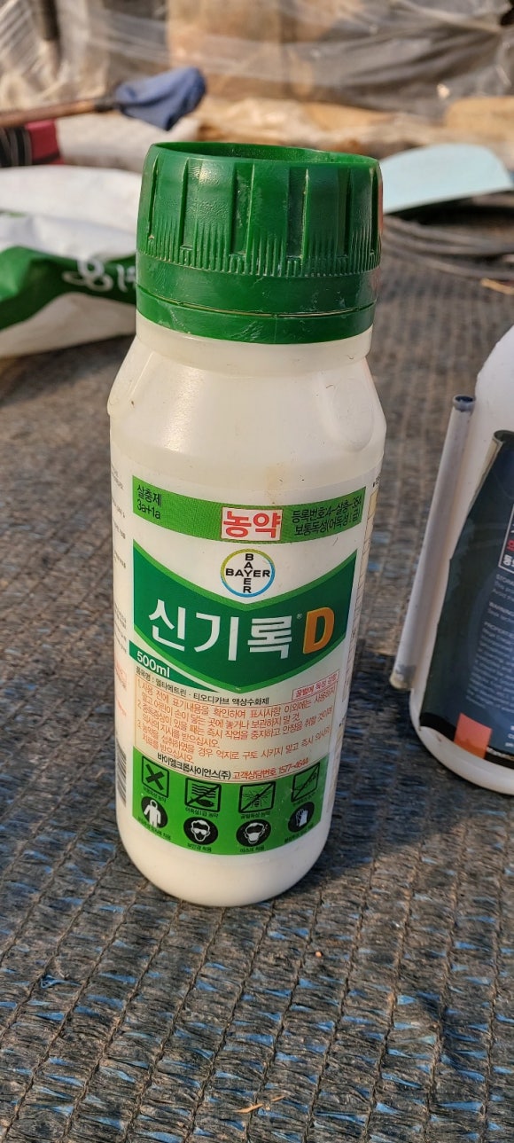  고추모가 벌써 이만큼~